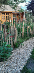 Blick auf Stauden und ein Gartenhaus hinter einem Schotterweg im Naturgarten des Immanuel Seniorenzentrums Kläre Weist