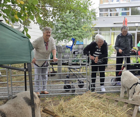 Besucherinnen erfreuen sich an tierischem Besuch Besucherinnen erfreuen sich an tierischem Besuch