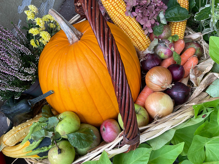 Bunt gefüllter Erntedankfest - Immanuel Haus Ecktannen