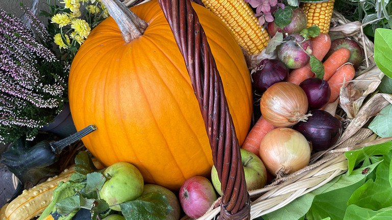 Bunt gefüllter Erntedankfest - Immanuel Haus Ecktannen