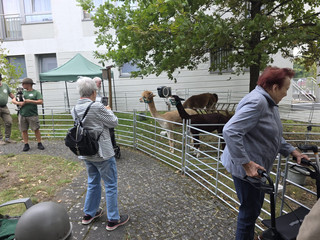 Bewohnerinnen besuchen mobilen Streichelzoo Bewohnerinnen besuchen mobilen Streichelzoo